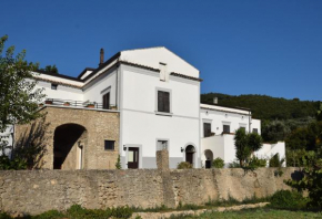 Antico Casolare Uliveto